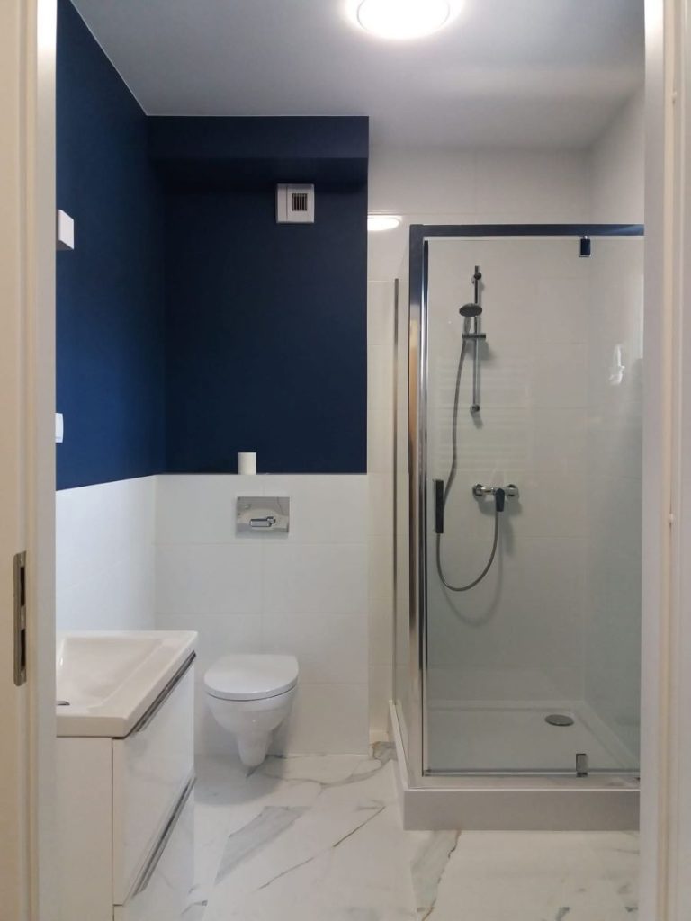 Nowoczesna łazienka, małe WC, kabina prysznicowa walk-in, granatowa ściana akcentowa, białe płytki.